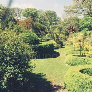 “taken before 2009”