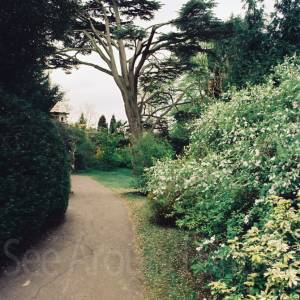 Taken before 2009