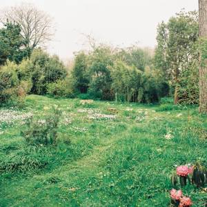 Taken before 2009