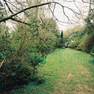 Taken before 2009