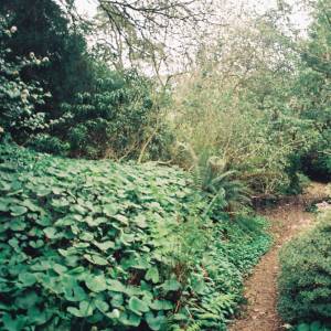 Taken before 2009