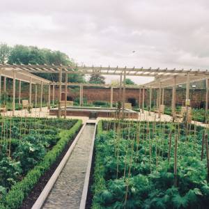 Taken before 2009