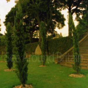 Taken before 2009