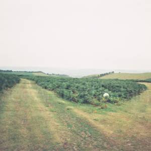 Taken before 2009