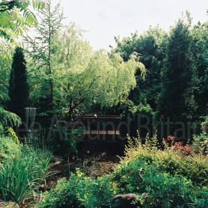 Taken before 2009